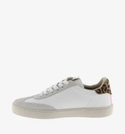 Berlin Trainer - Platinum