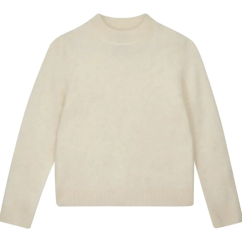 Brushed Turtle - Cream