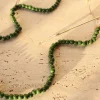 Ceramic Glasses Chain - Green