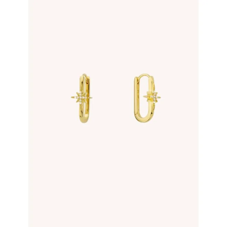 Diwali Jazzy Earrings - Gold