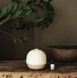 Electric Aromatherapy Diffuser Lamp