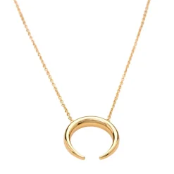 Horn Necklace with Slider Clasp - Gold
