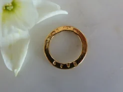 Live sentiment disc - Gold