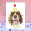 Springer Spaniel Pompom Card