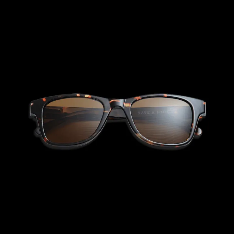 Type B Sun Readers - Tortoise